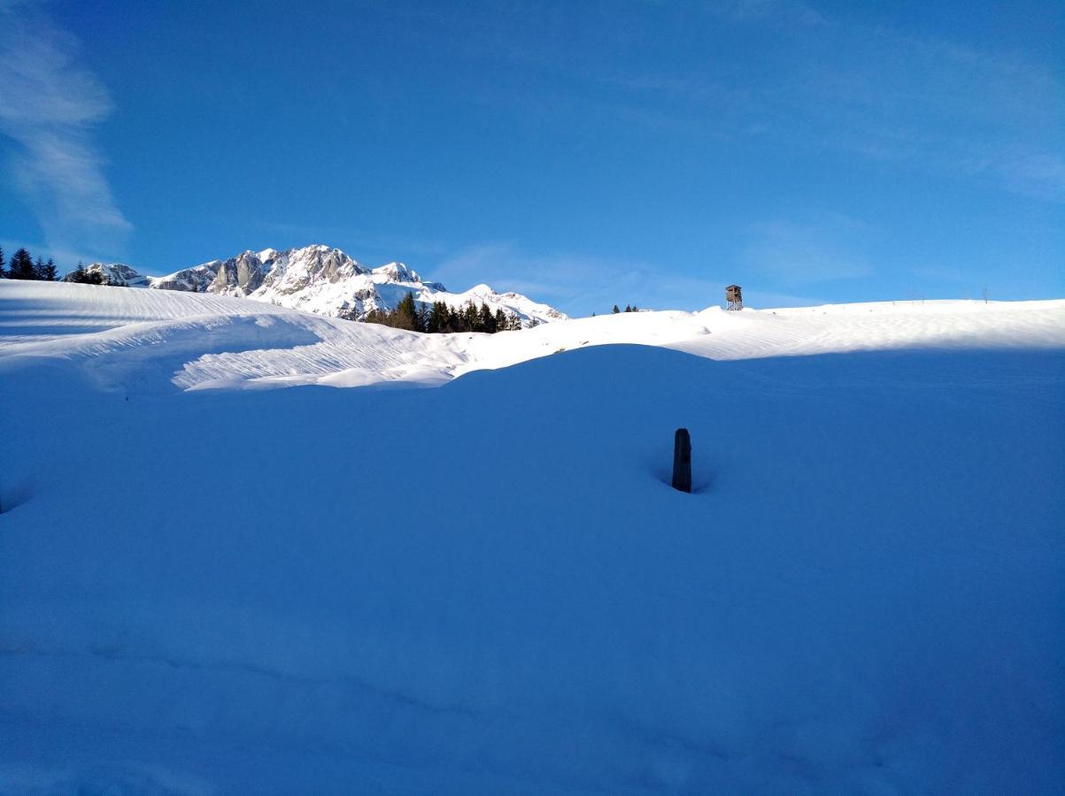 Appartement Haus Bergland Sankt Martin am Tennengebirge